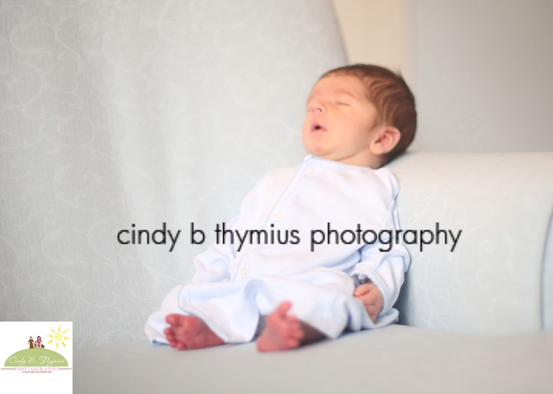 memphis baby photographer