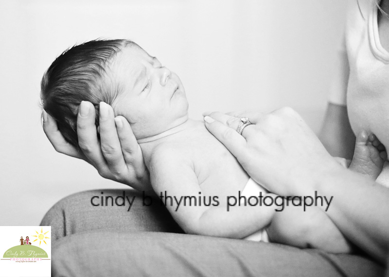 memphis infant photography