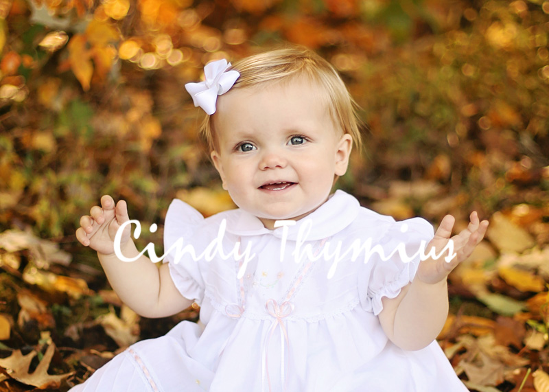 collierville baby photographer