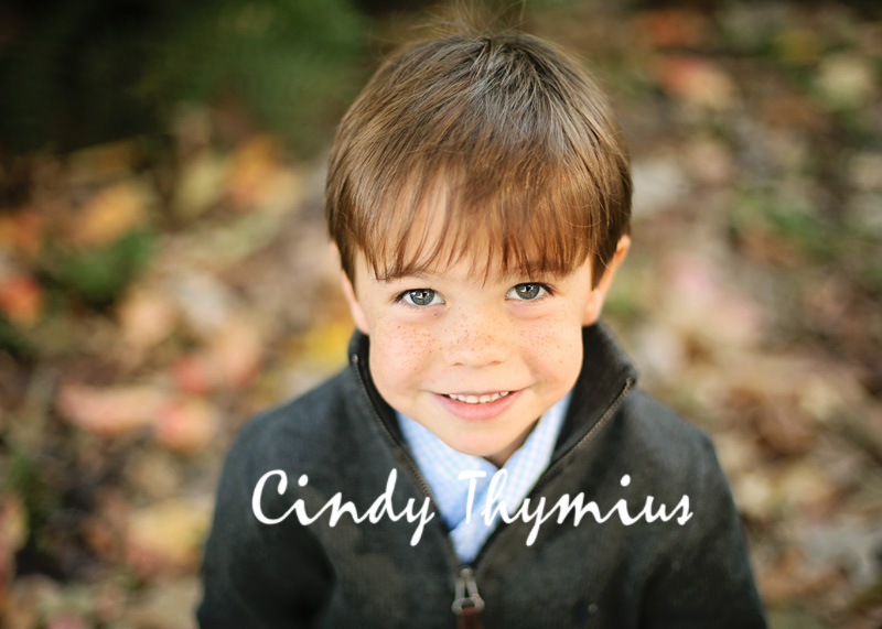 collierville children's photographer