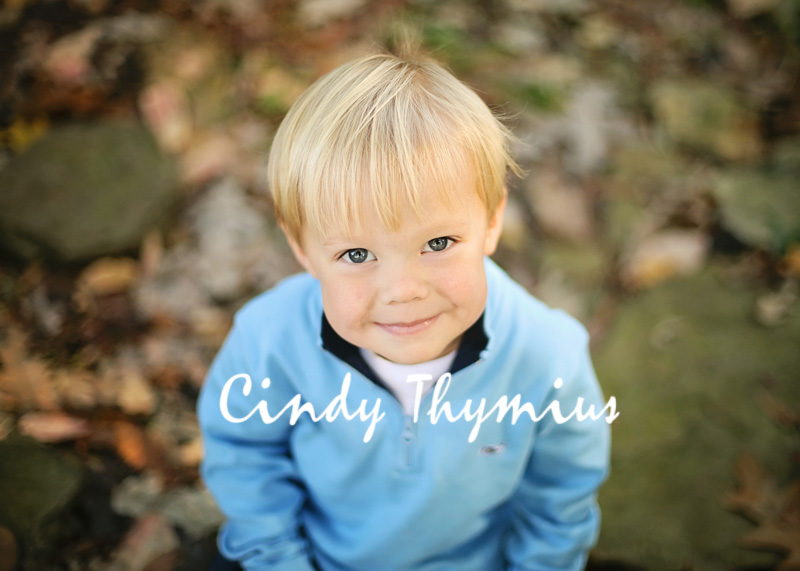 collierville children's photography