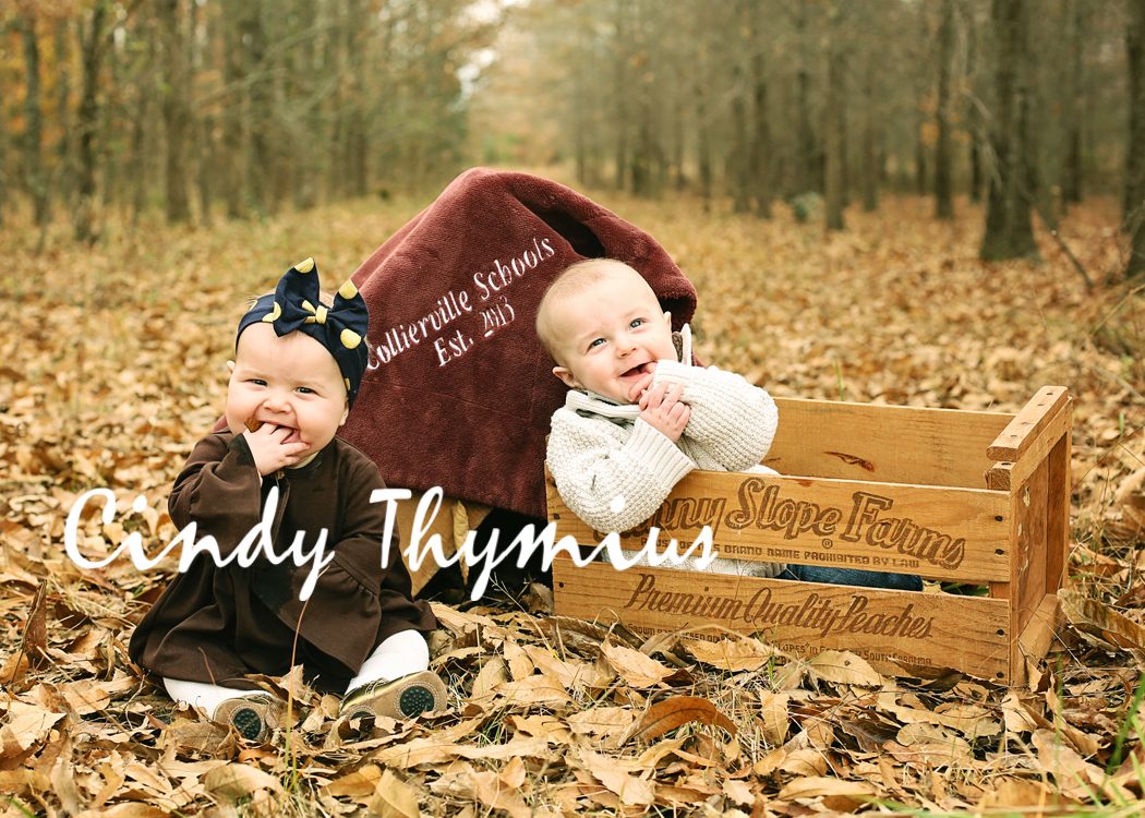 collierville-family-photographer-9