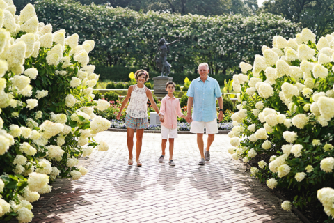 A family of walking with flower plants on both sides