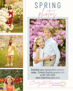 Memphis spring photographer